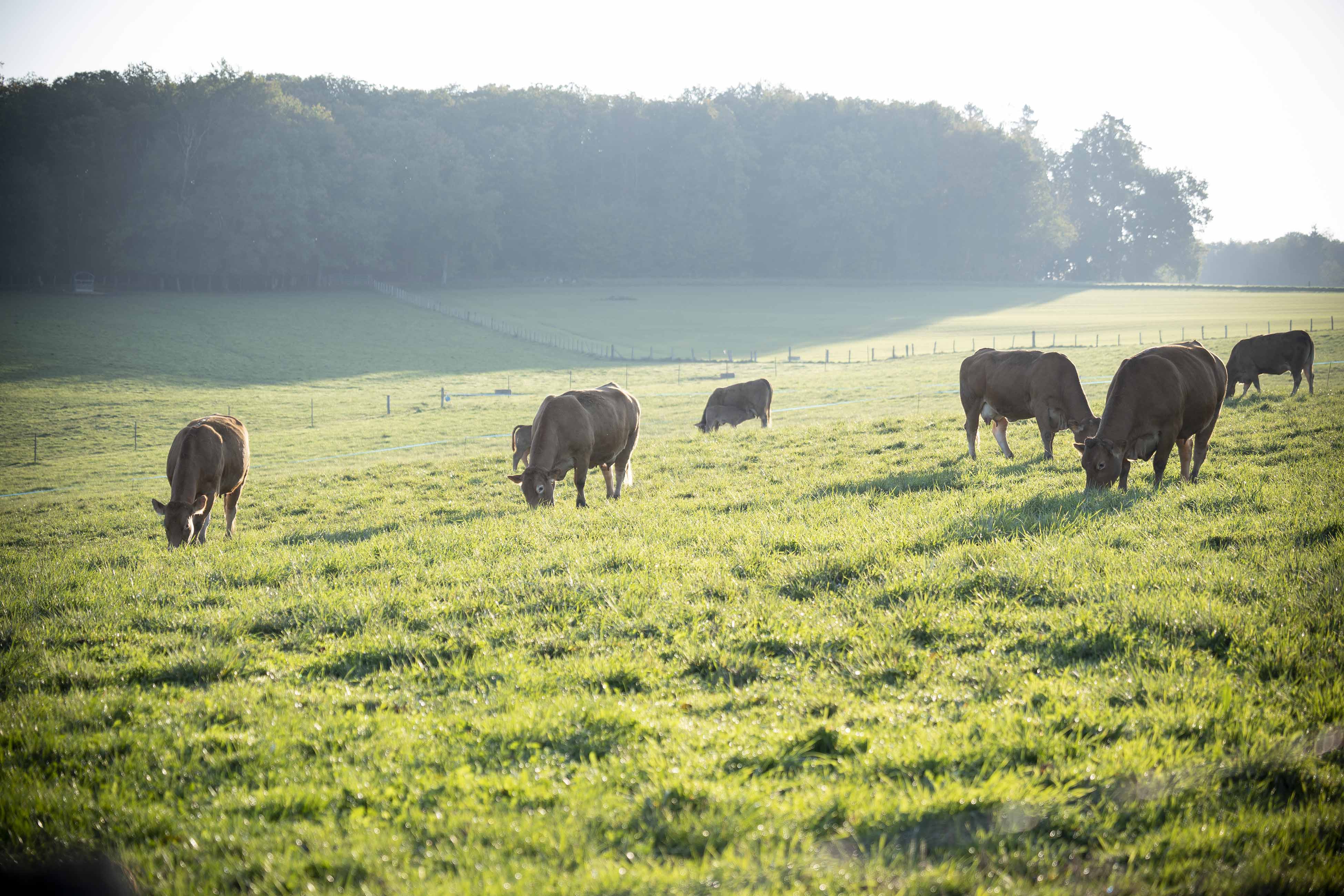 Aides à la méthanisation en NouvelleAquitaine