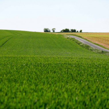 Installation : dotation Nouveaux et Jeunes agriculteurs (DNJA)