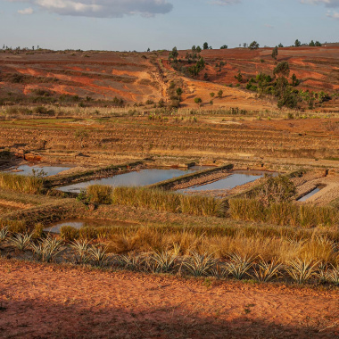 Appui aux initiatives locales de développement solidaire et d’ECSI