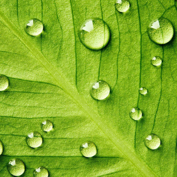 Santé et Environnement