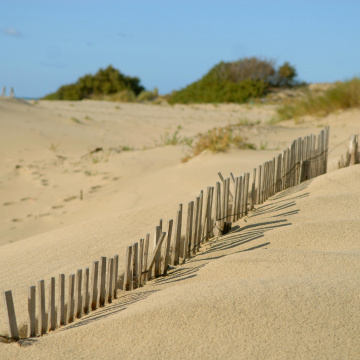 Aménagement et gestion durable du littoral