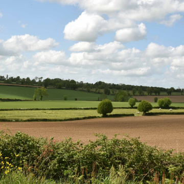 PCAE - Plan Végétal Environnement (PVE)