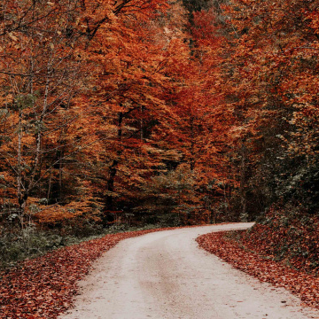 Prévention des risques pour forêts – Volet DFCI