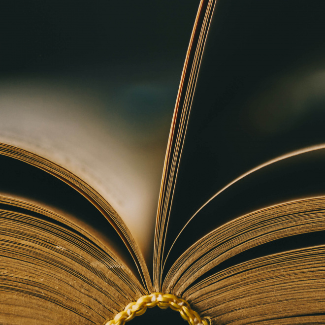 Soutien à un poste de médiateur dans les salles de cinéma